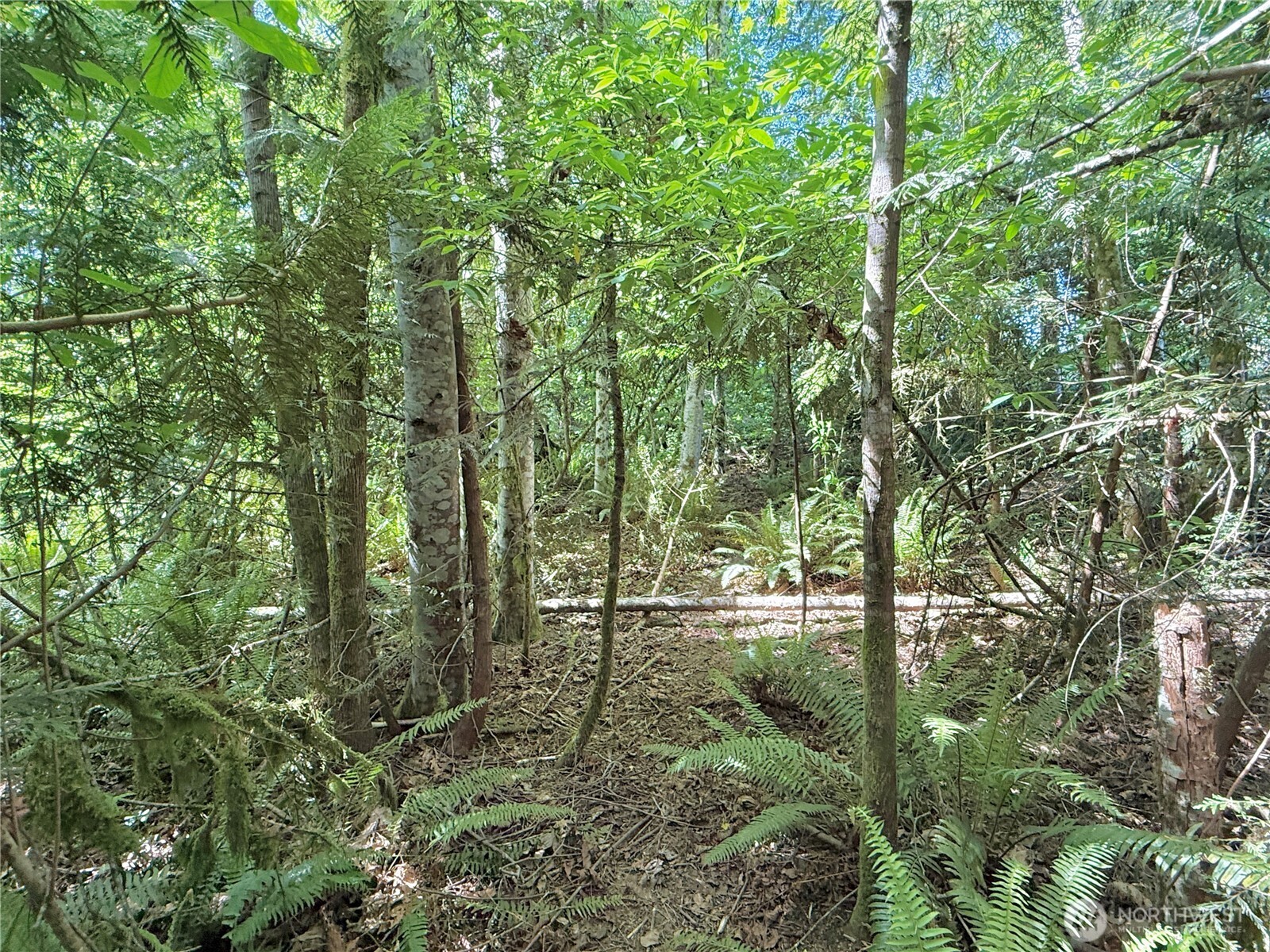 1356 Se Carl Pickel Drive Property Photo 14