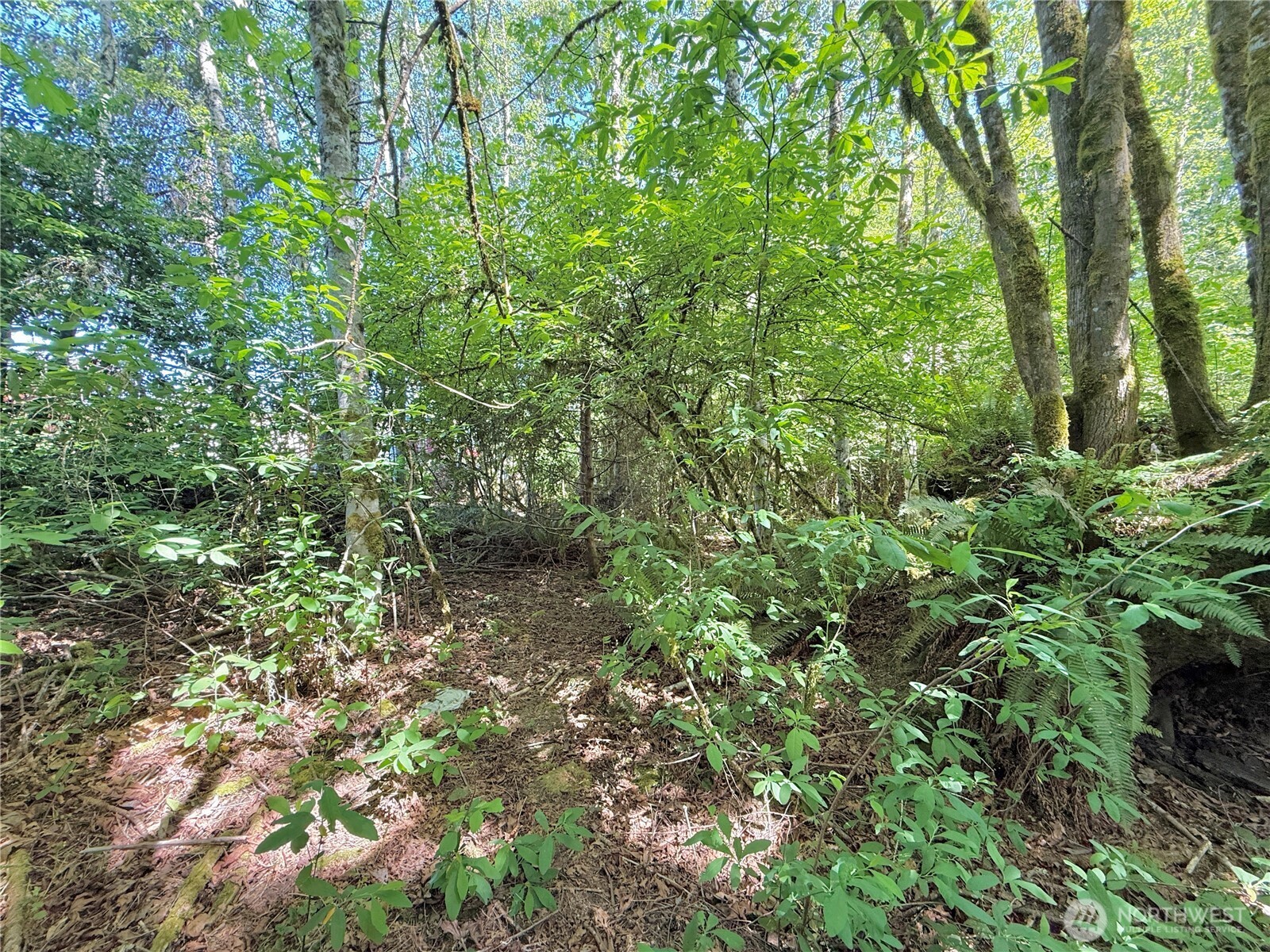 1356 Se Carl Pickel Drive Property Photo 30