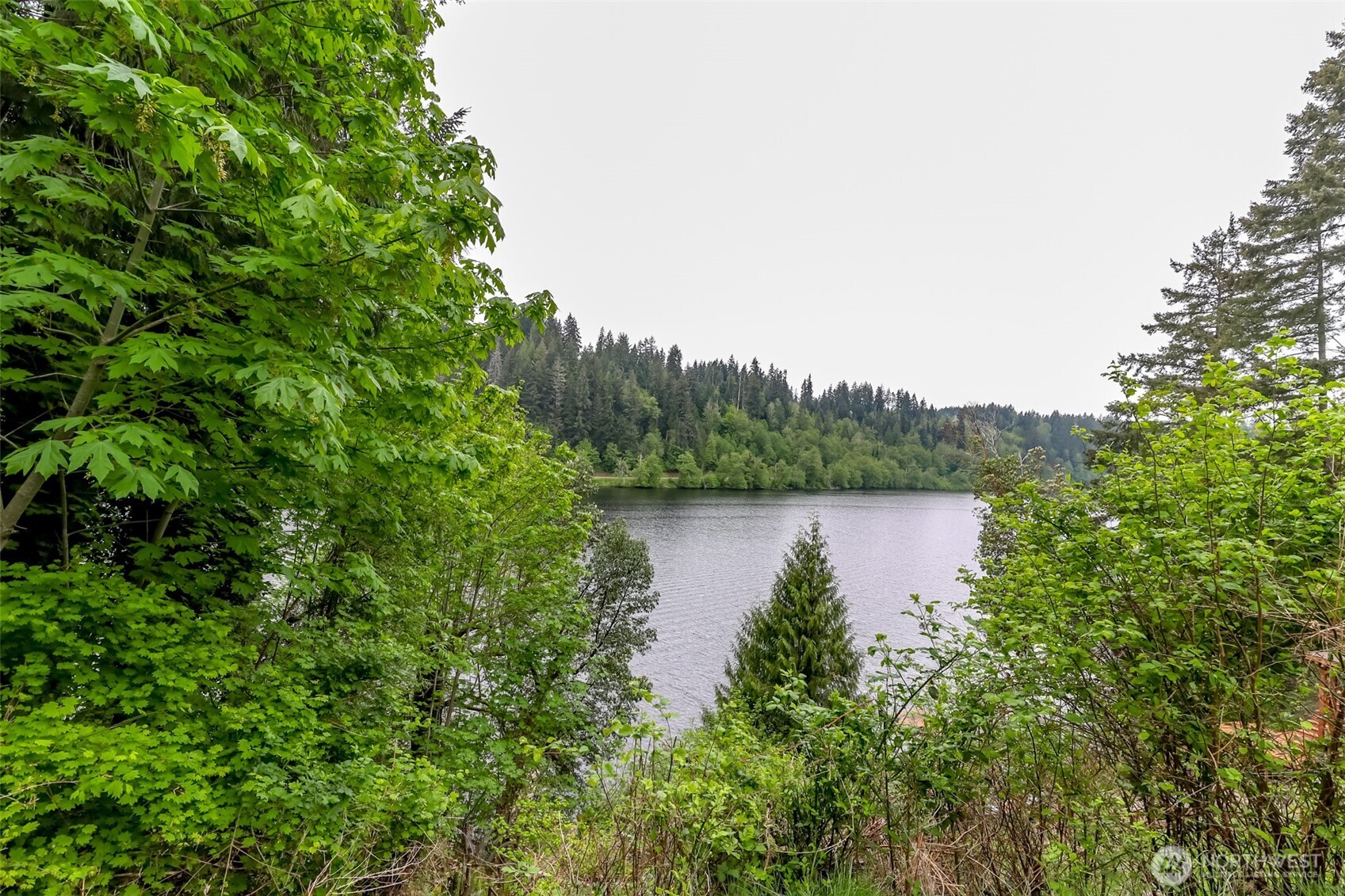 40420 Ski Park Rd Property Photo 35