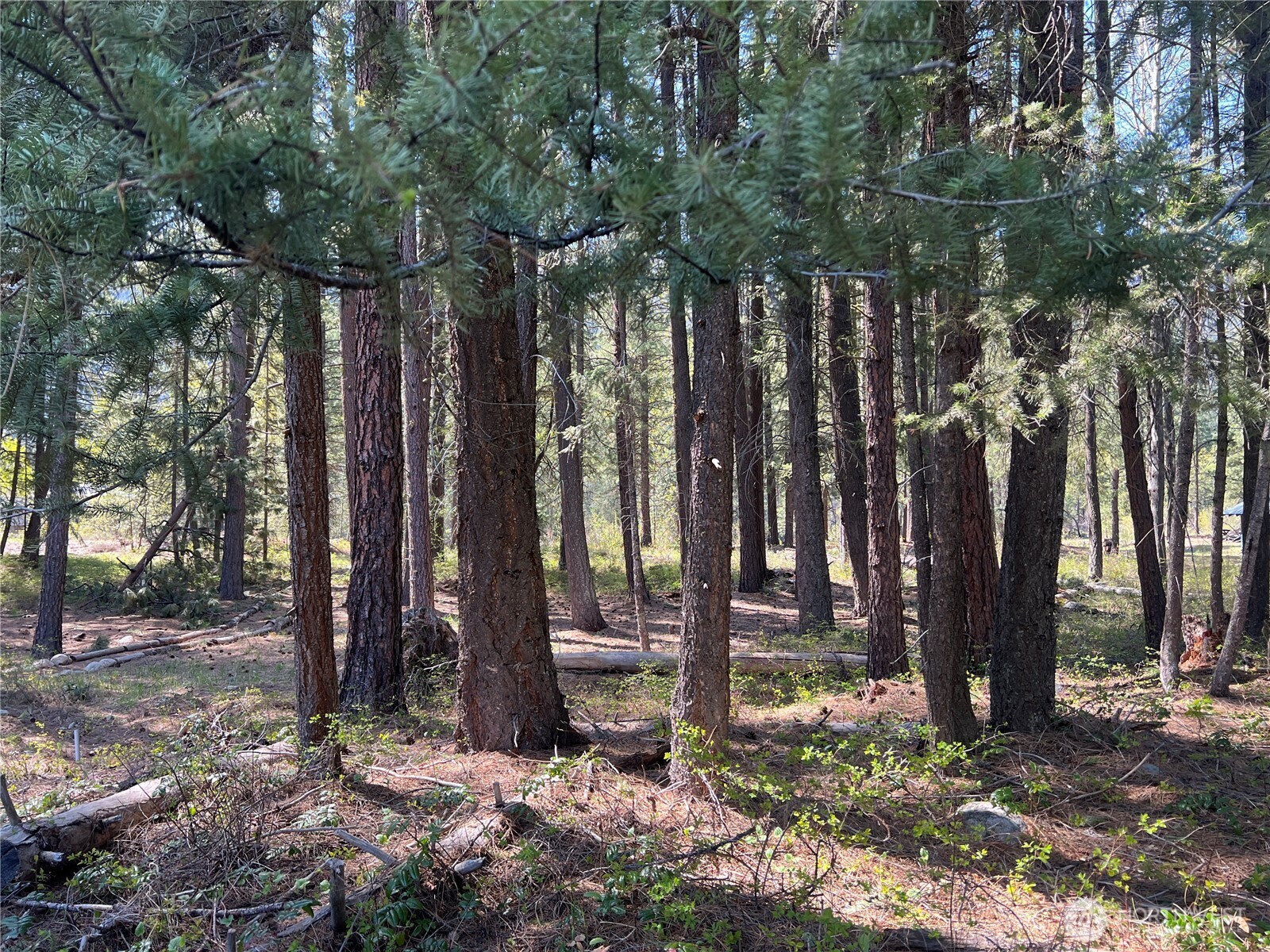 3 Mazama Bridge Road Property Photo 27