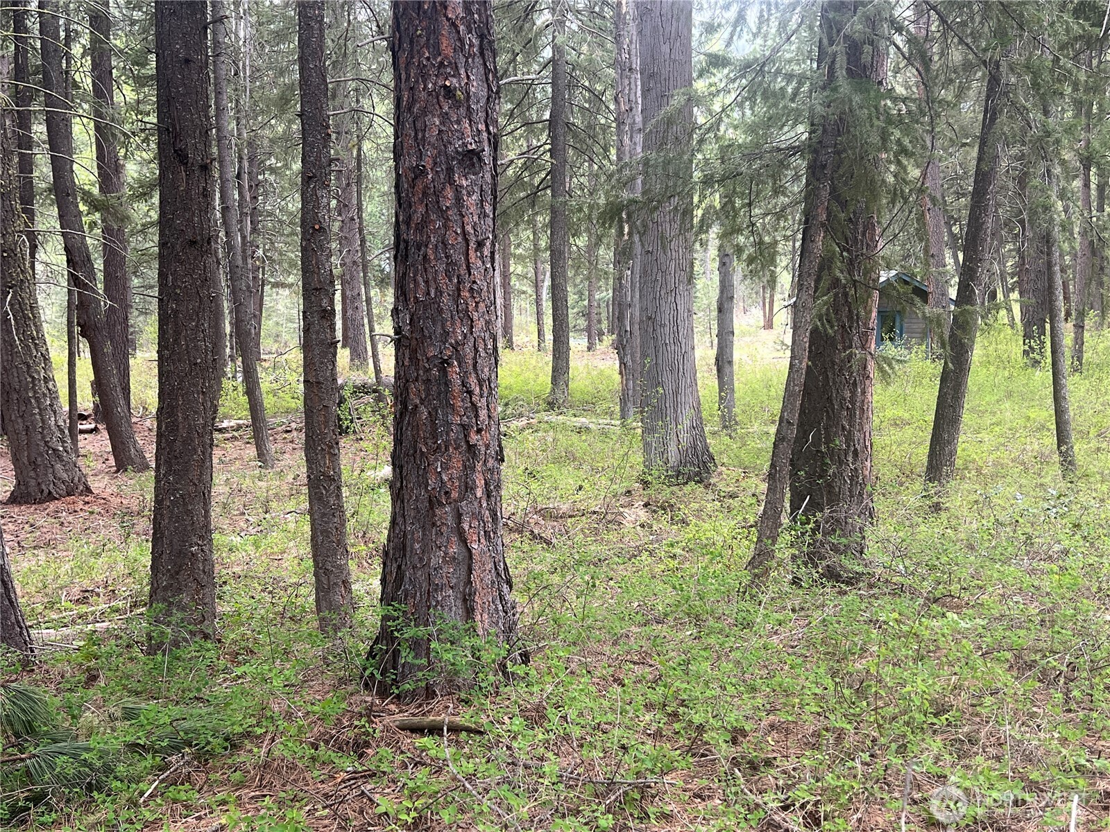 3 Mazama Bridge Road Property Photo 28