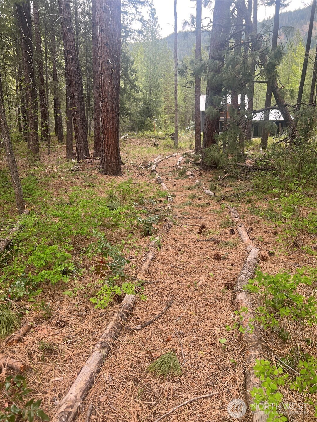 3 Mazama Bridge Road Property Photo 29