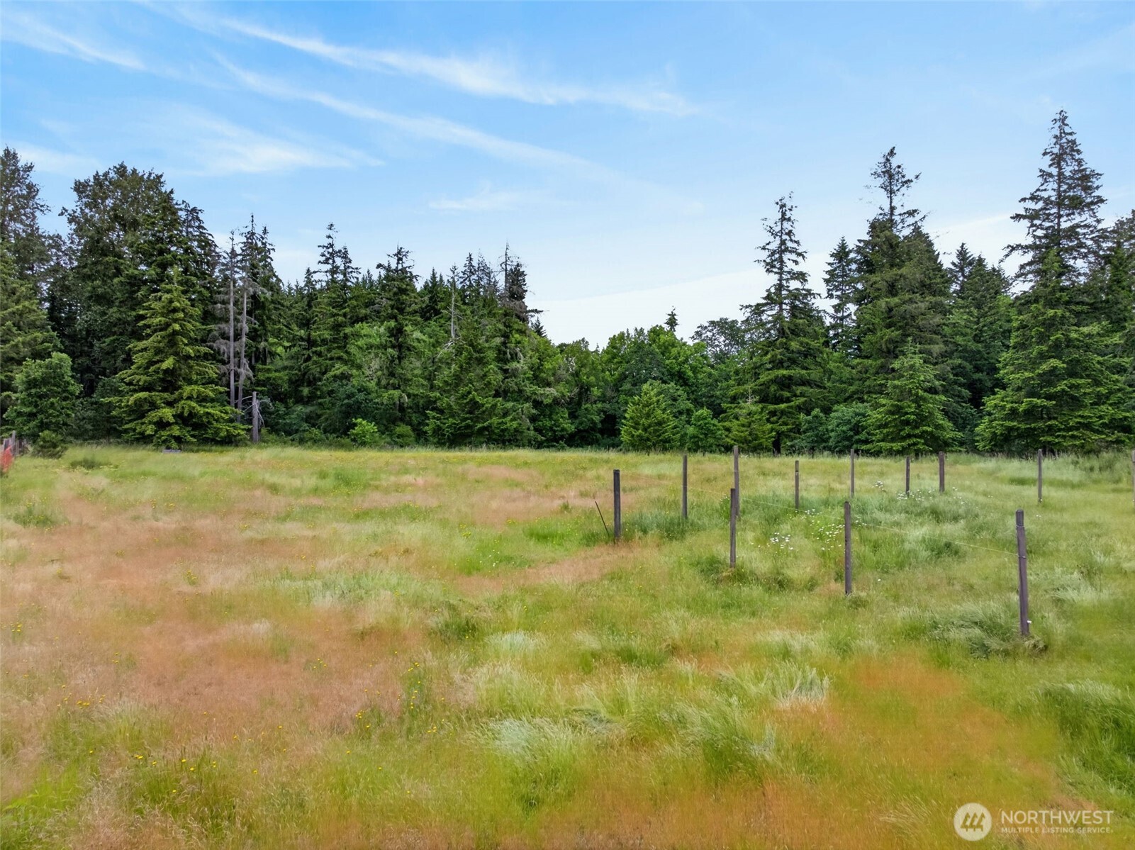 10320 James Road Property Photo 37