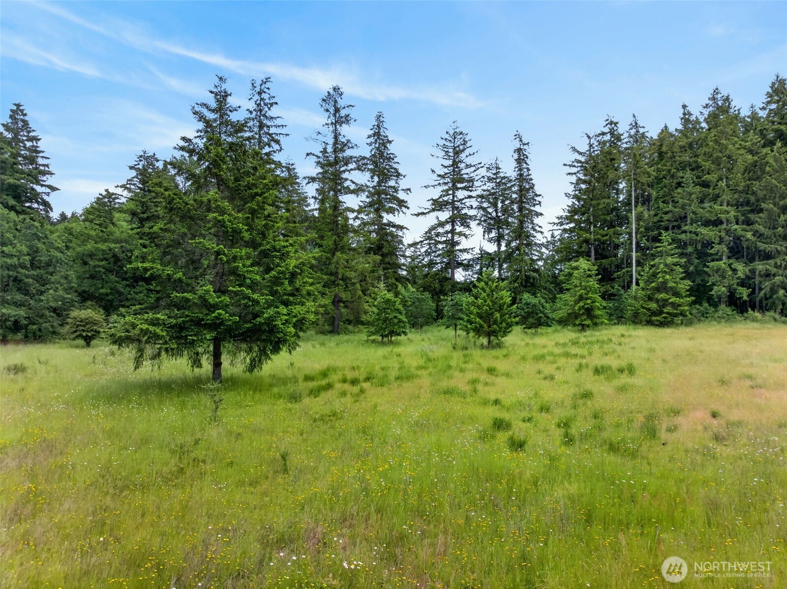 10320 James Road Property Photo 38