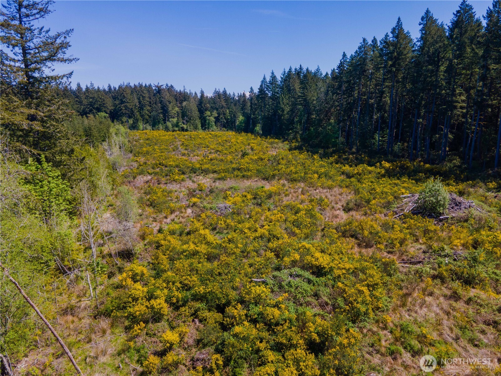8600 Steamboat Island Road Property Photo 5