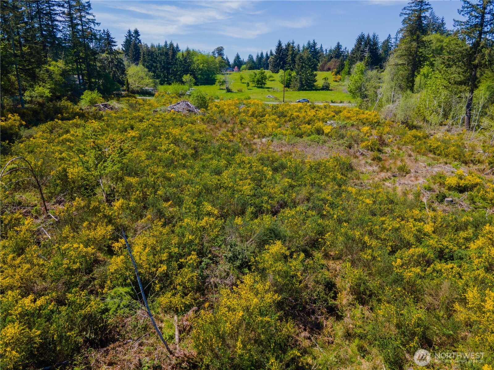 8600 Steamboat Island Road Property Photo 6