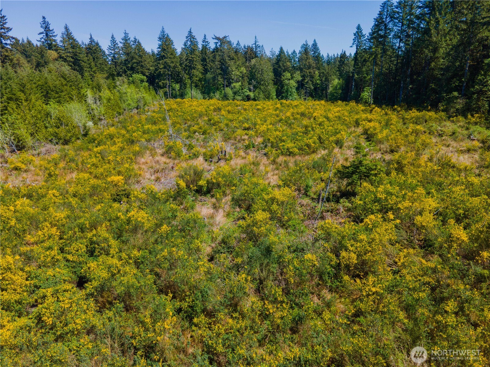 8600 Steamboat Island Road Property Photo 7