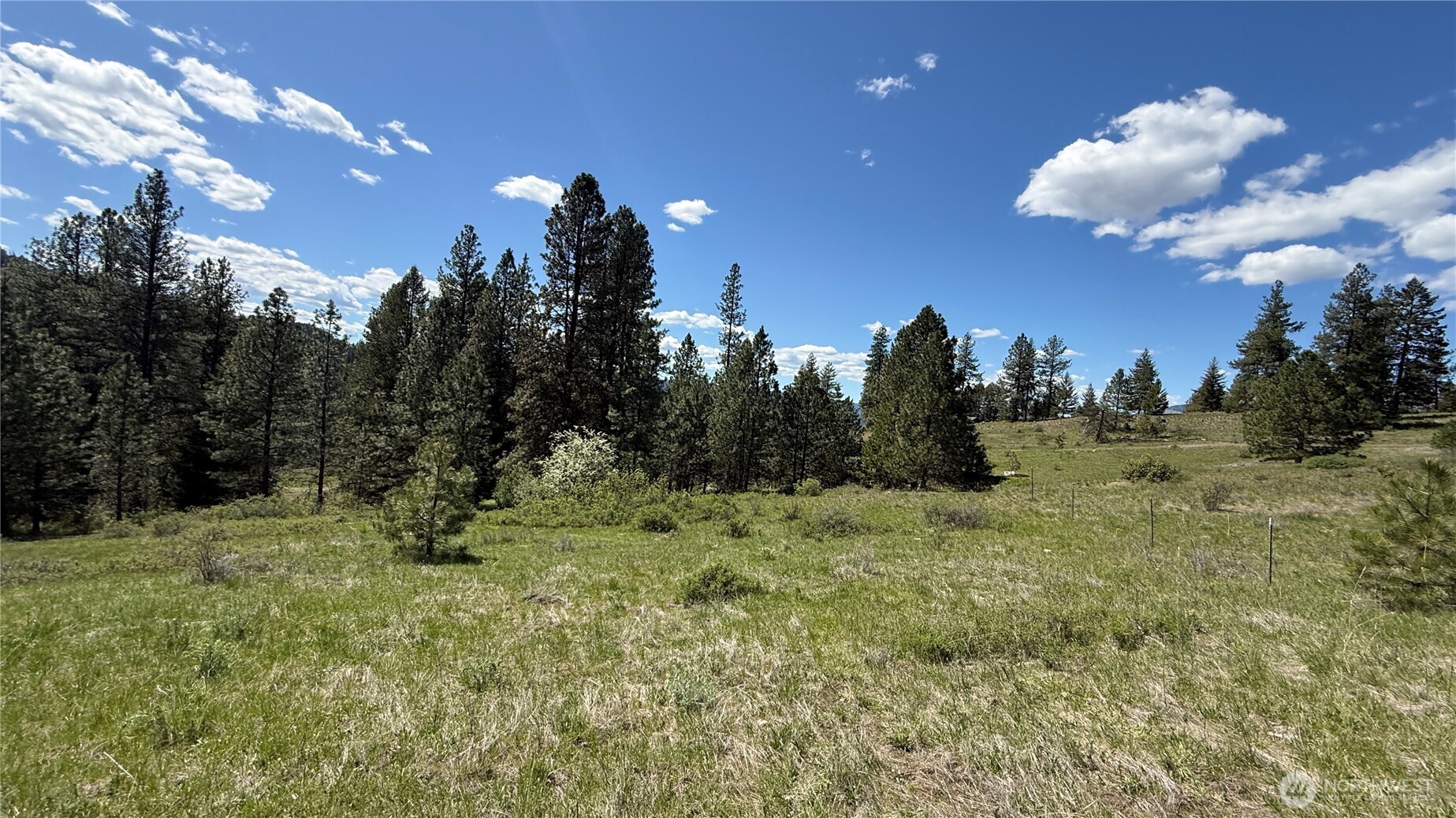 0 Tbd Fir Lane Property Photo 2