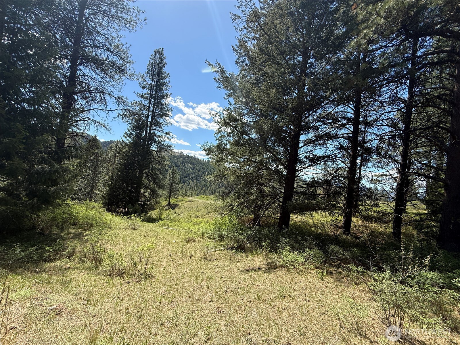 0 Tbd Fir Lane Property Photo 3