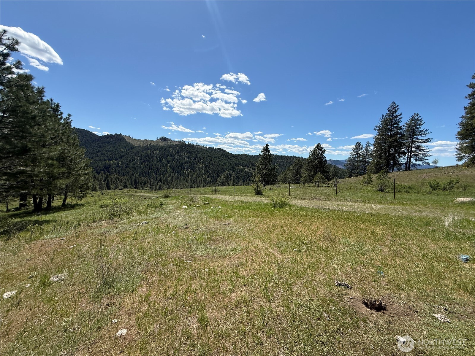 0 Tbd Fir Lane Property Photo 5