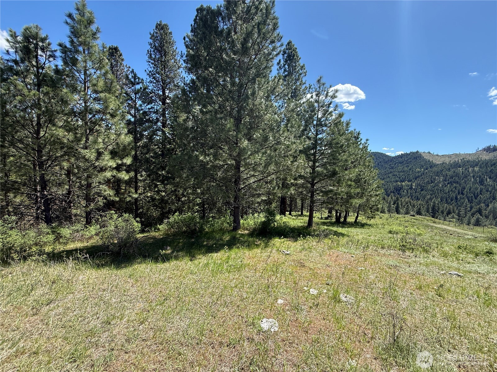 0 Tbd Fir Lane Property Photo 6