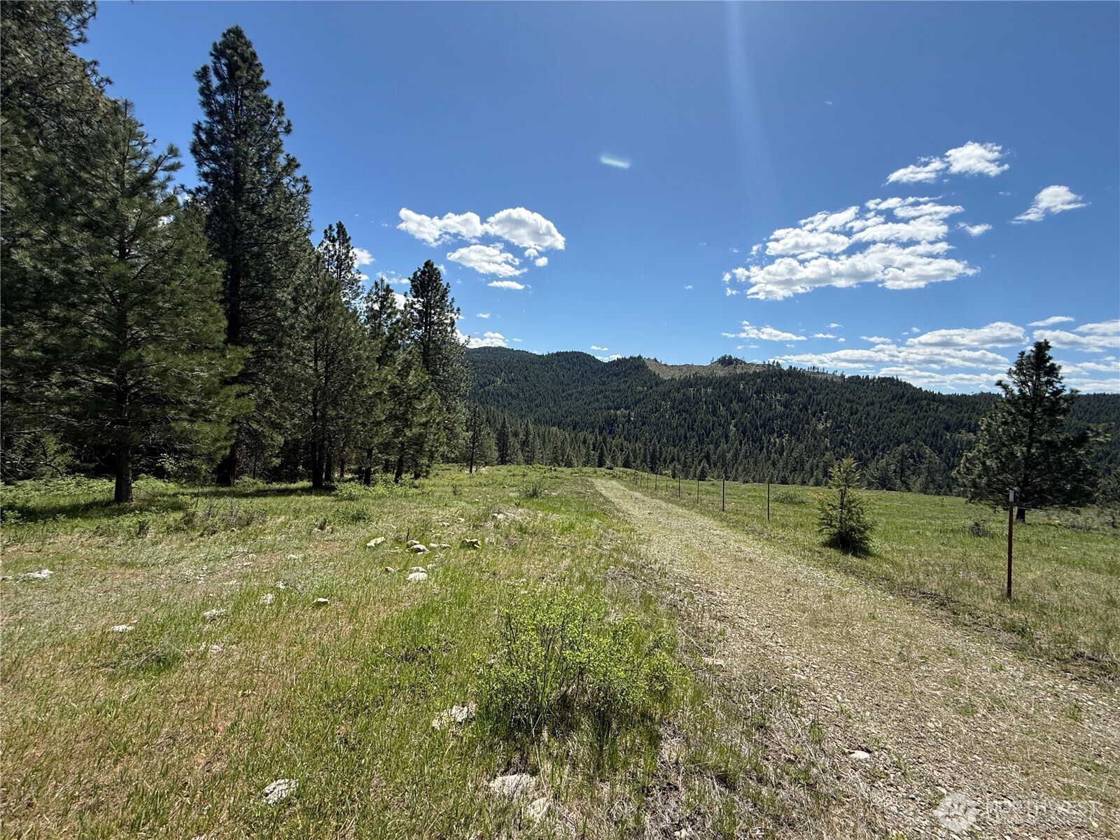 0 Tbd Fir Lane Property Photo 9