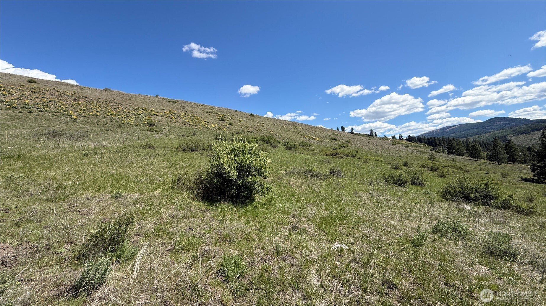 0 Tbd Fir Lane Property Photo 10