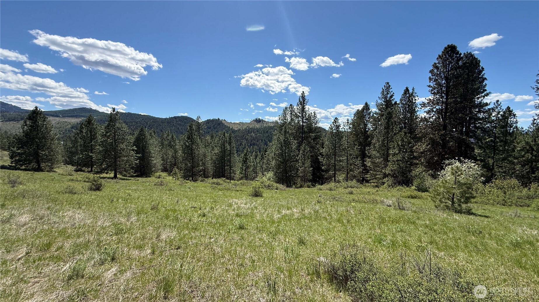 0 Tbd Fir Lane Property Photo 12