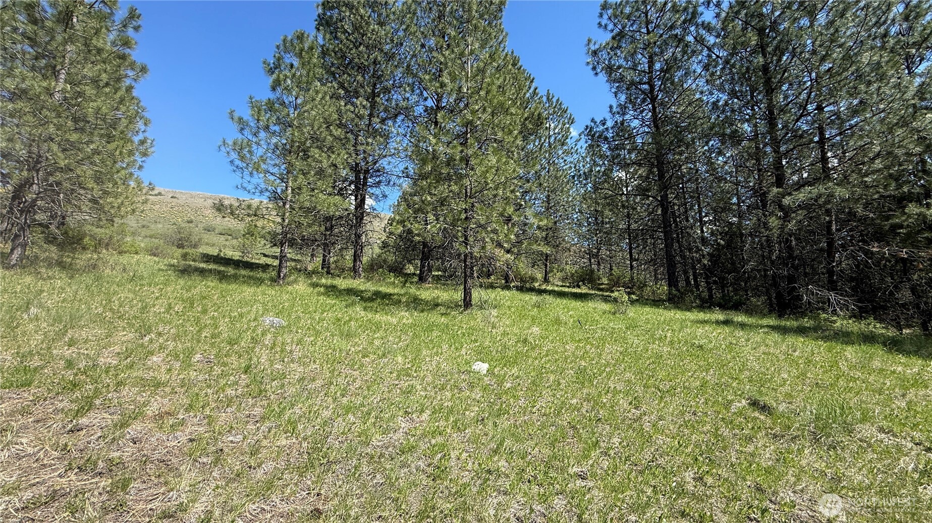 0 Tbd Fir Lane Property Photo 14