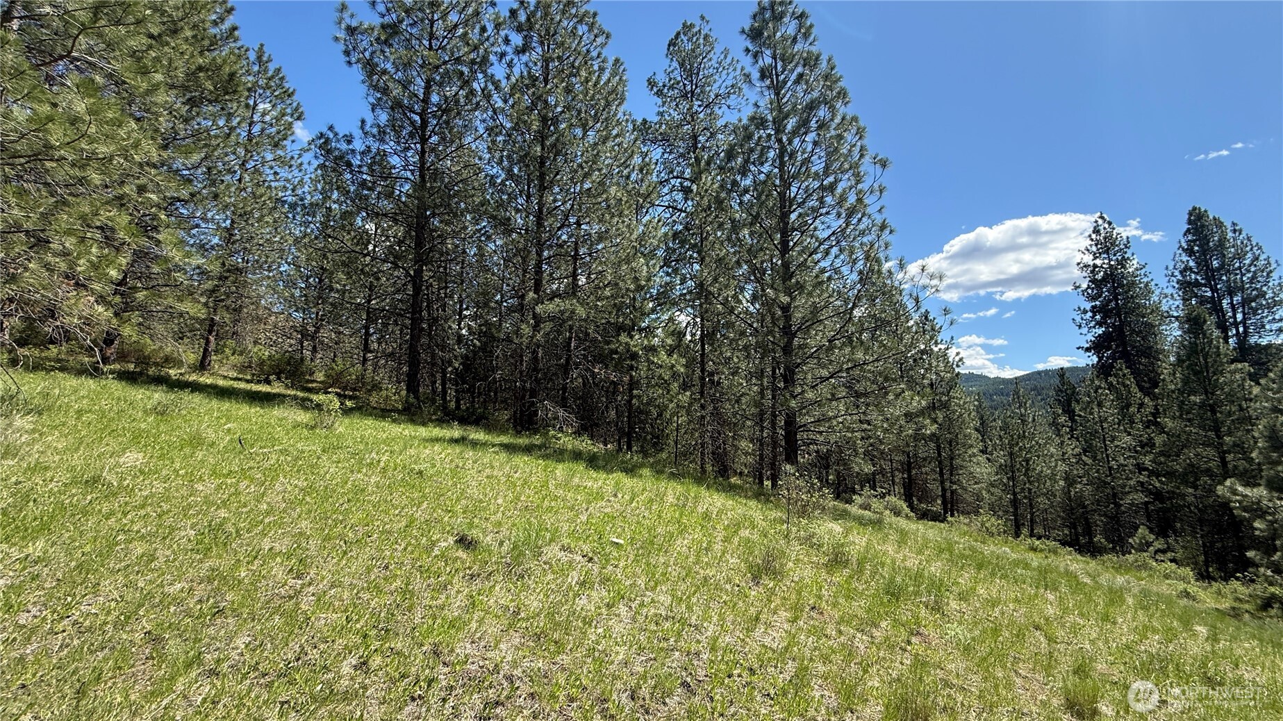 0 Tbd Fir Lane Property Photo 15
