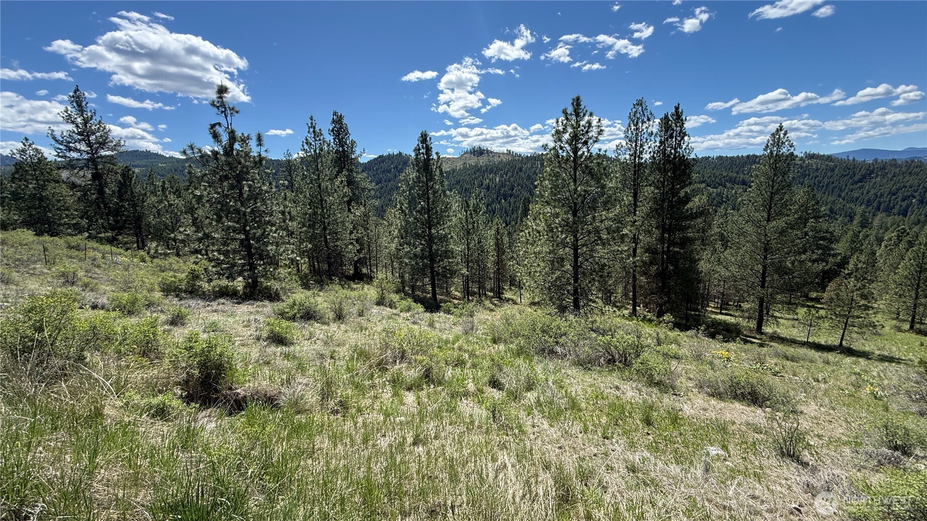 0 Tbd Fir Lane Property Photo 16