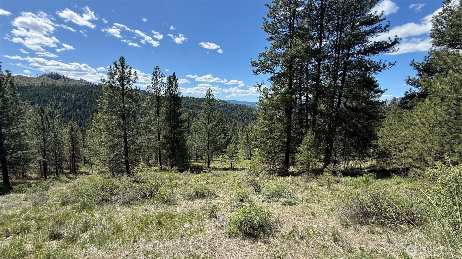 0 Tbd Fir Lane Property Photo 17