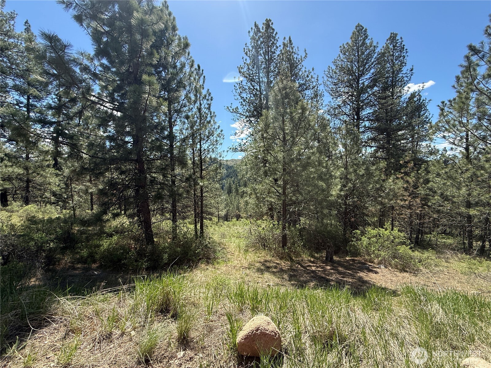 0 Tbd Fir Lane Property Photo 19