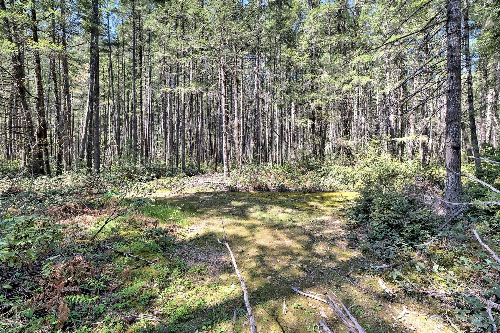 1161 Ne Toonerville Drive Property Photo 14