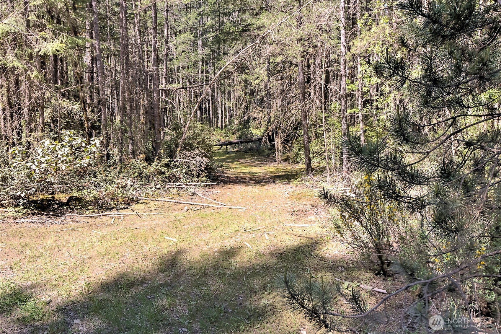 1161 Ne Toonerville Drive Property Photo 15