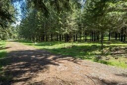 191 Sugarpine Road Property Photo 1