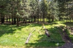 191 Sugarpine Road Property Photo 7