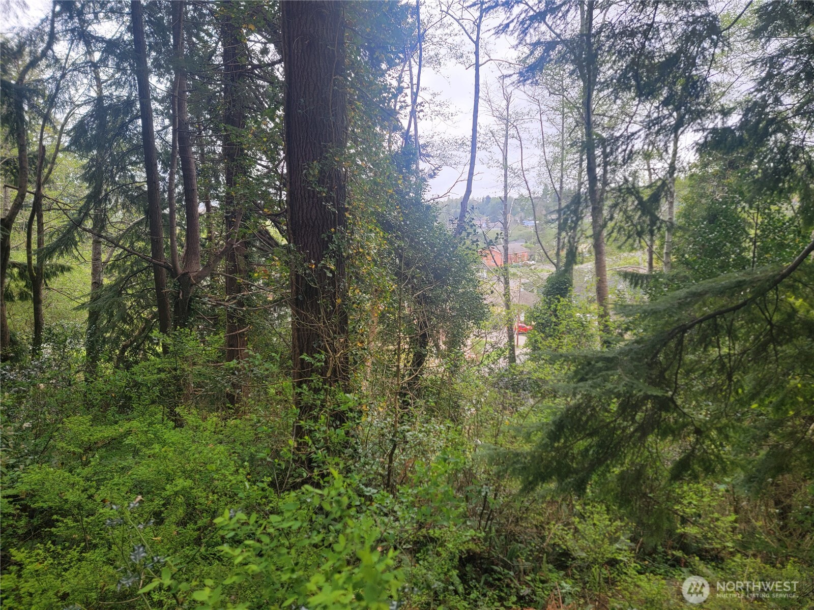 1600 Laura Street Property Photo 1