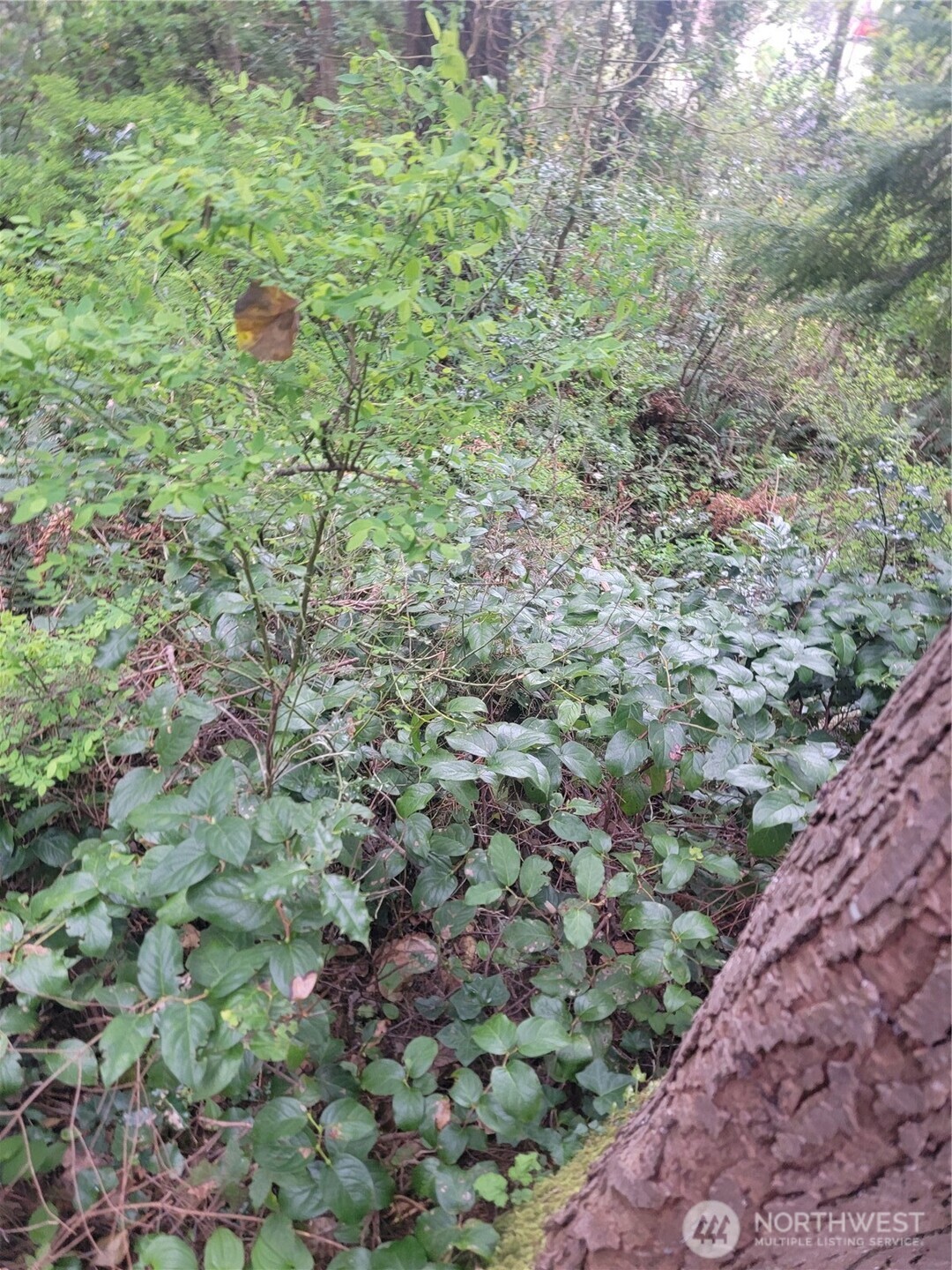 1600 Laura Street Property Photo 7
