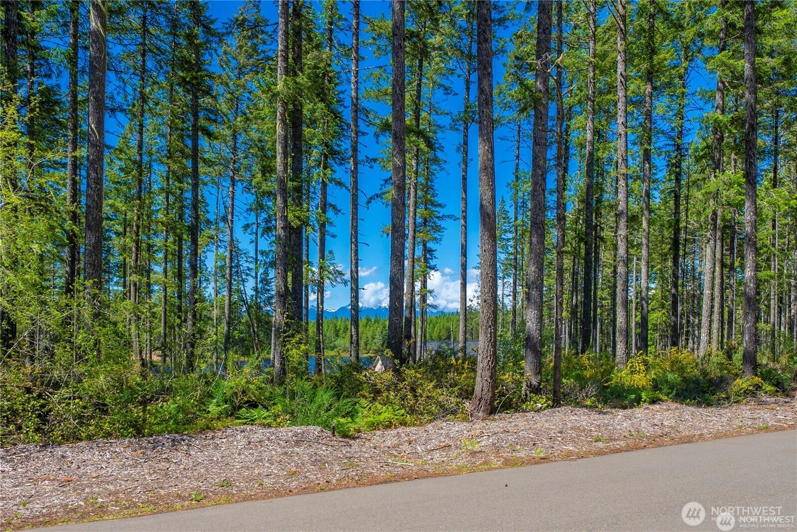 10 W Clear Lake Drive Property Photo 6