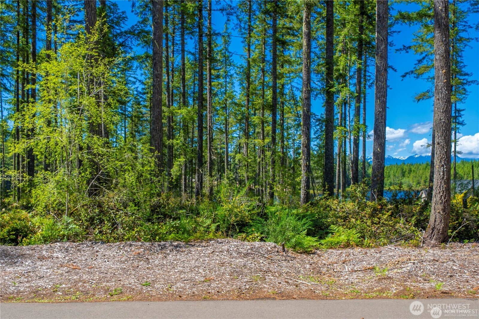 10 W Clear Lake Drive Property Photo 9