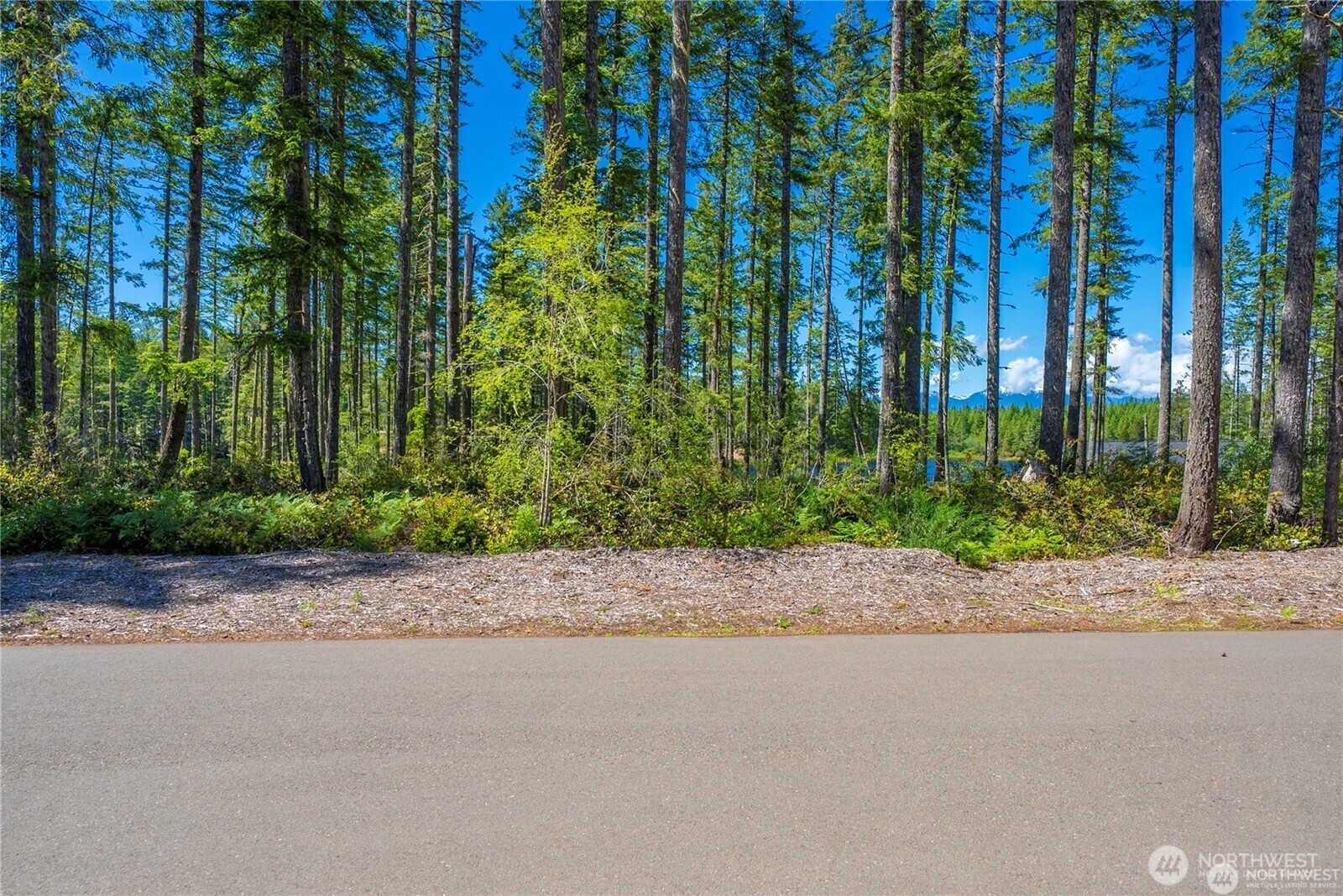 10 W Clear Lake Drive Property Photo 10