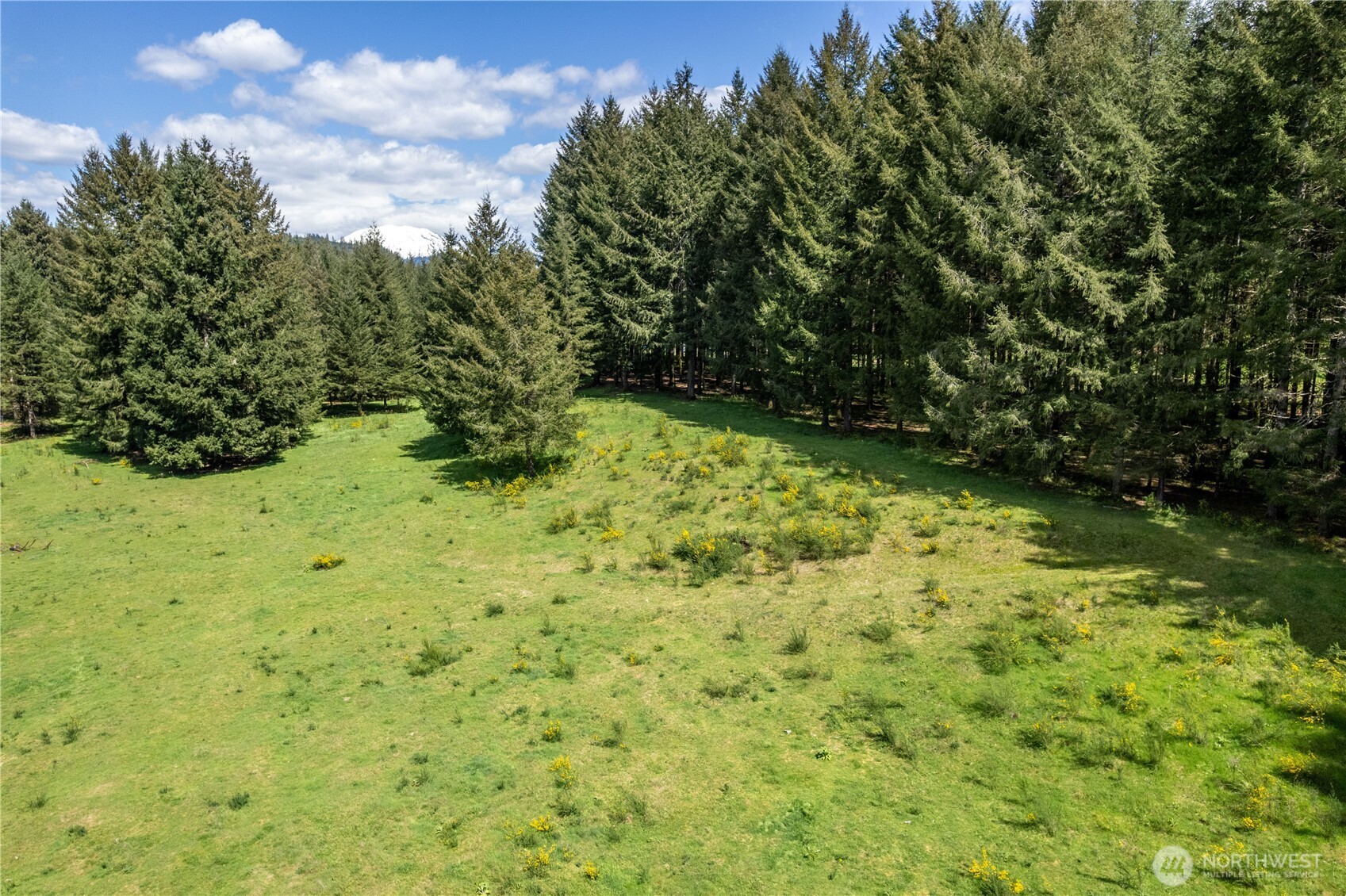 211 Sugarpine Road Property Photo 1