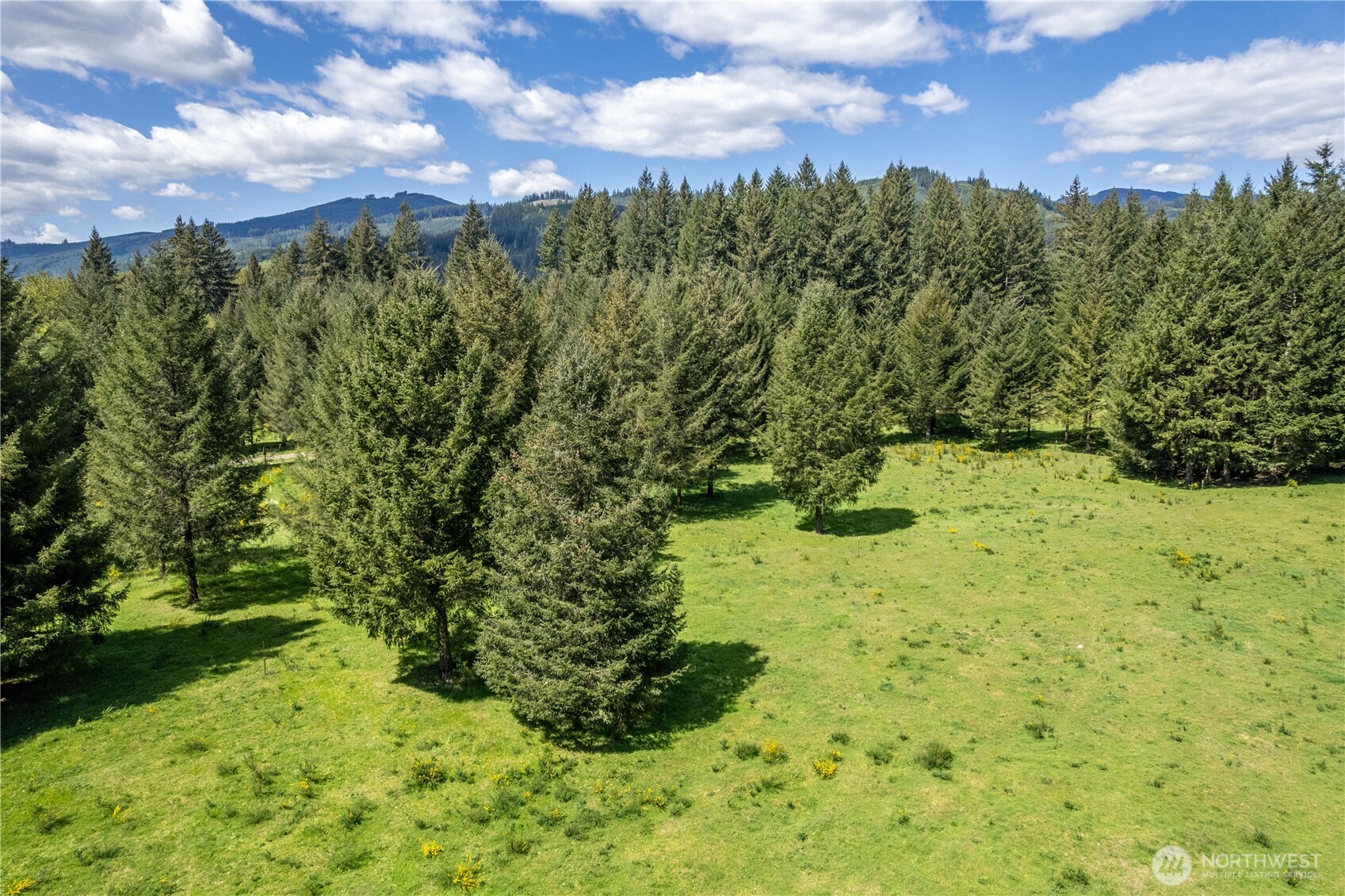 211 Sugarpine Road Property Photo 10