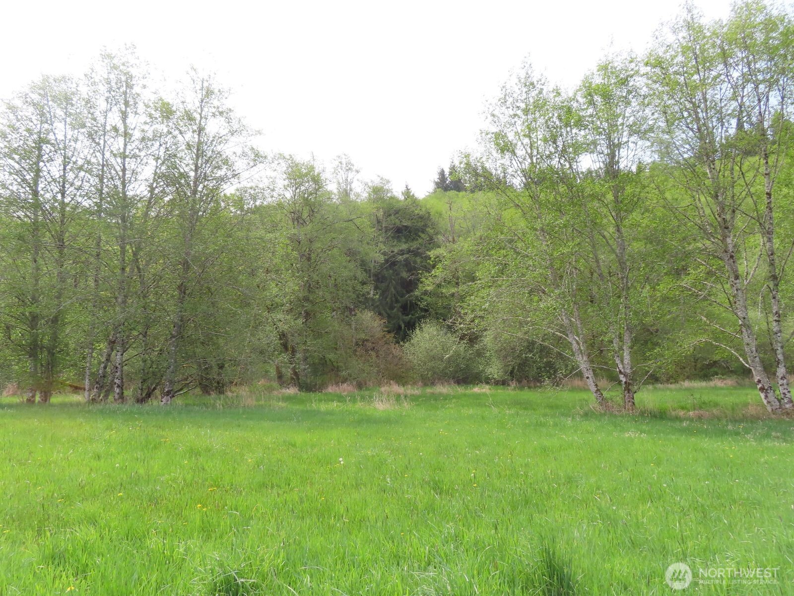 0 Xxx Hagen Road Property Photo 21