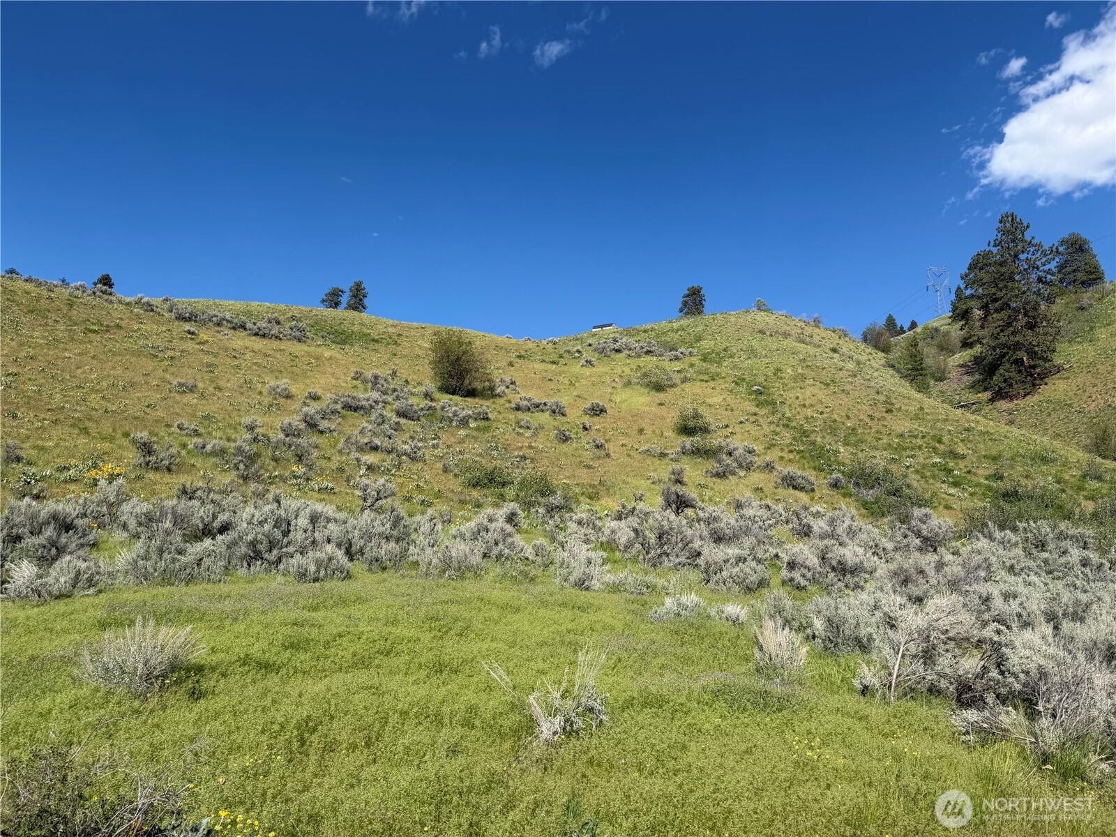 0 Tyee View Loop Property Photo 2