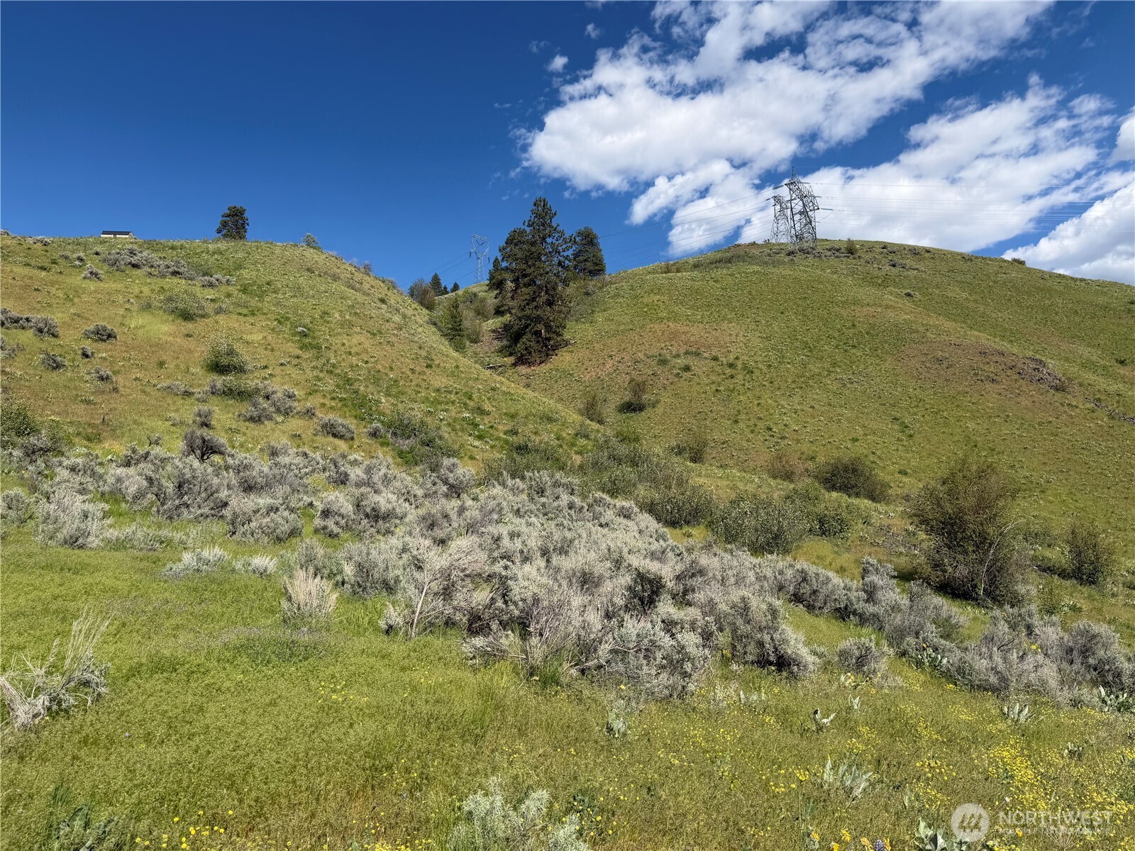 0 Tyee View Loop Property Photo 3