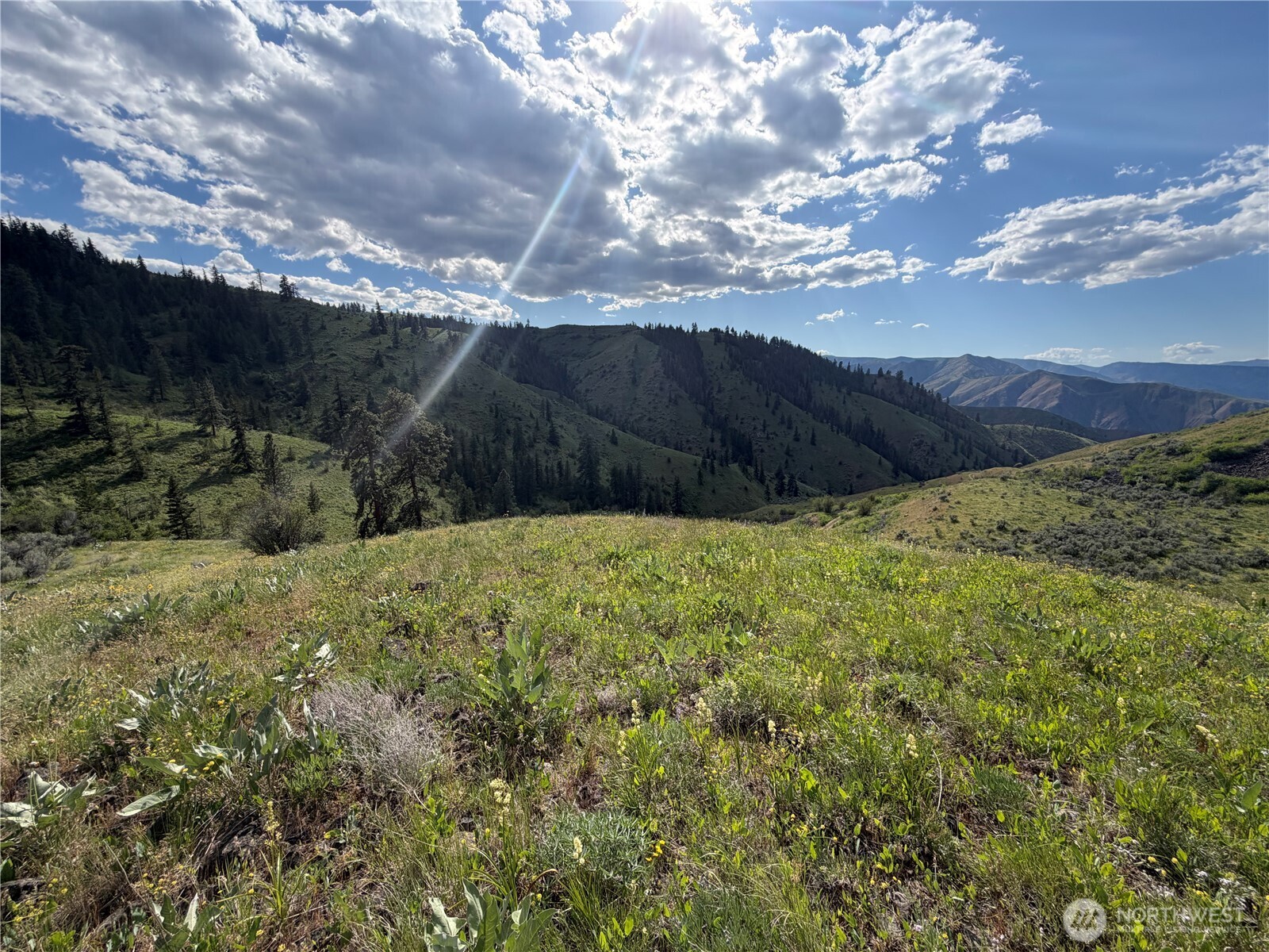 0 Tyee View Loop Property Photo 9