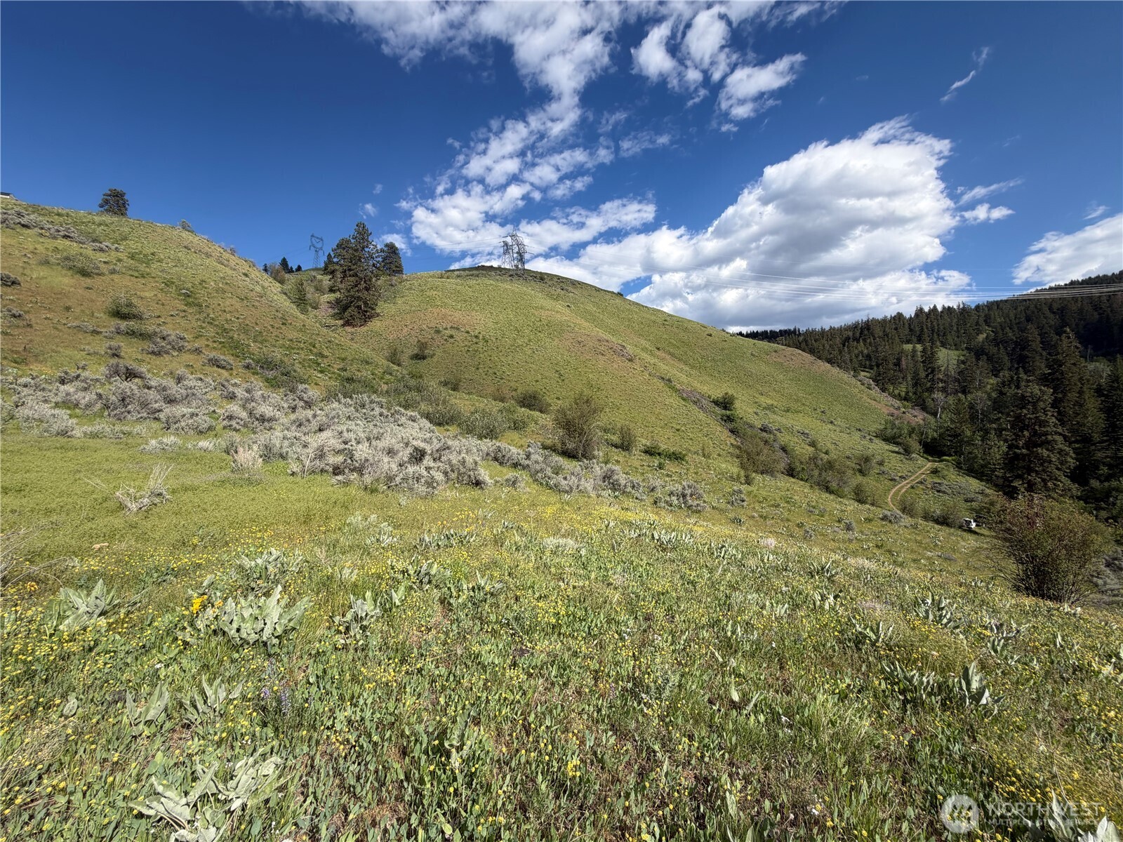 0 Tyee View Loop Property Photo 11