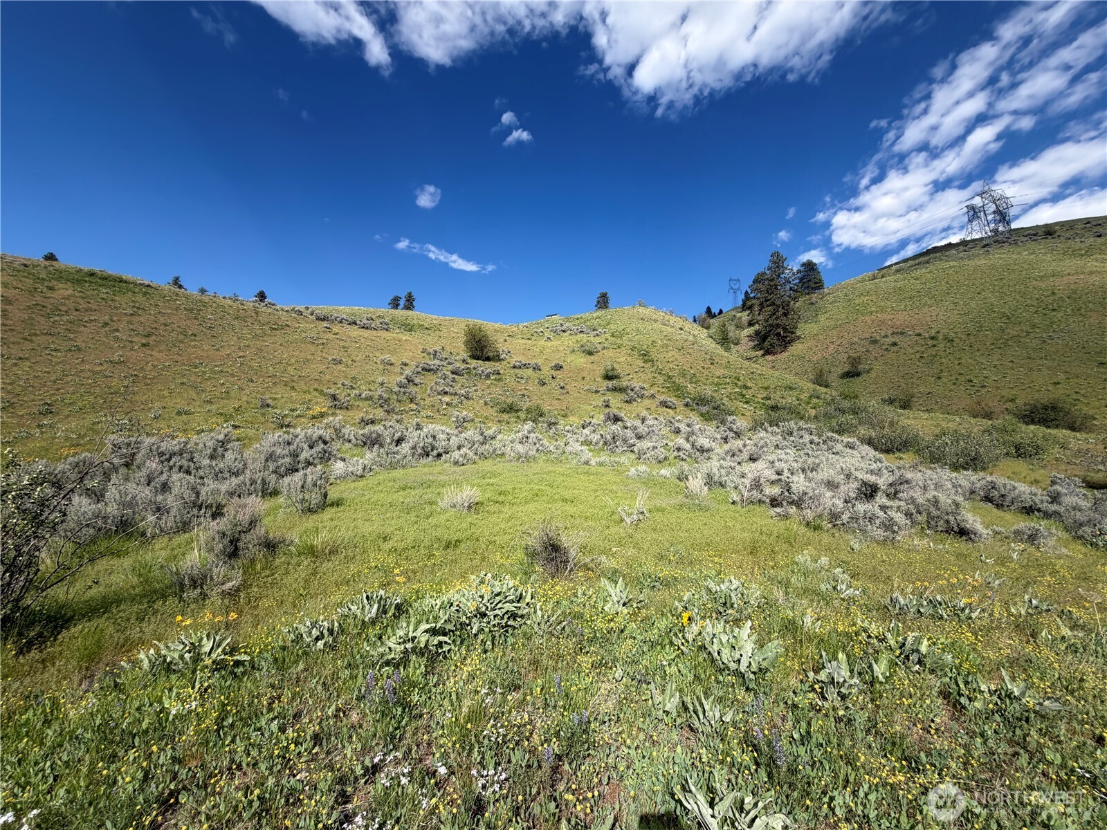 0 Tyee View Loop Property Photo 12