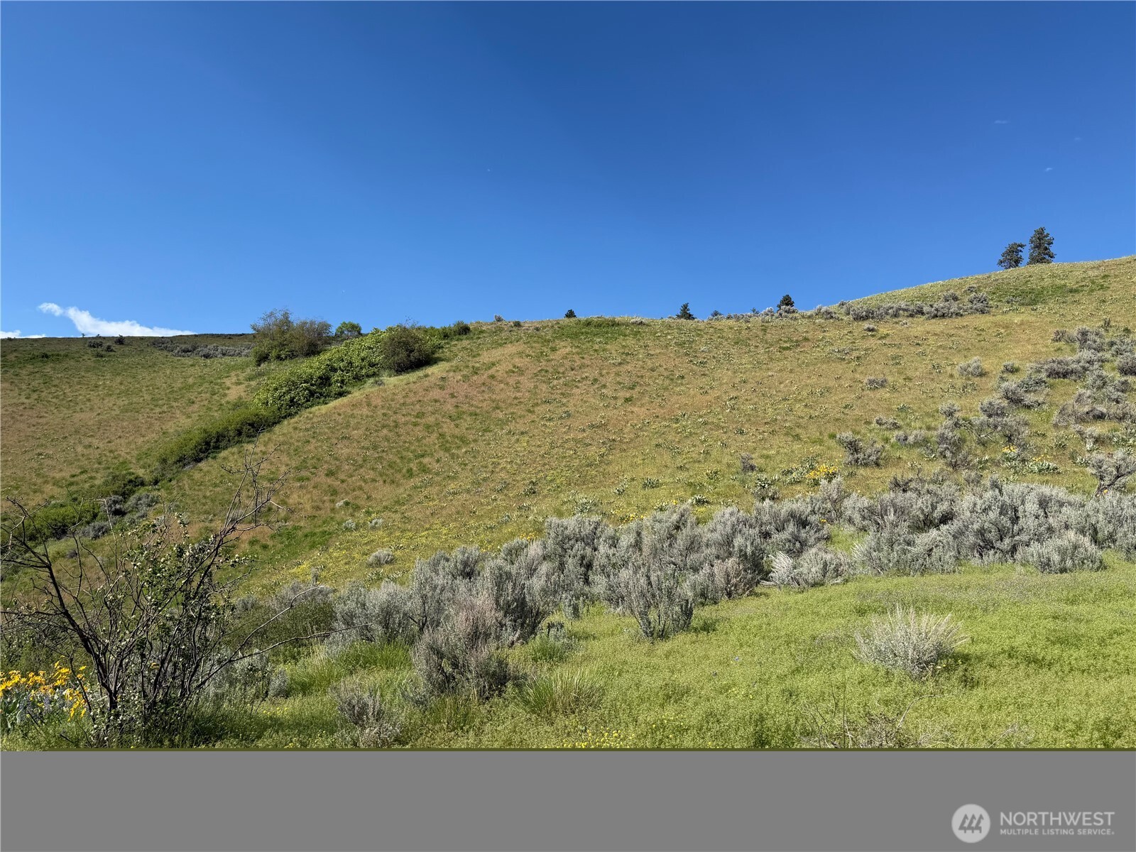 0 Tyee View Loop Property Photo 13