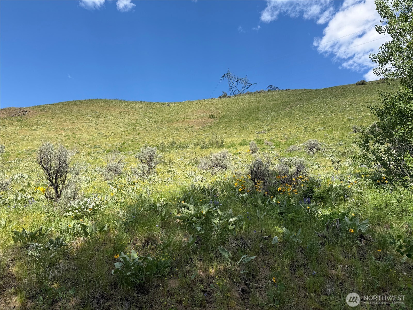 0 Tyee View Loop Property Photo 15