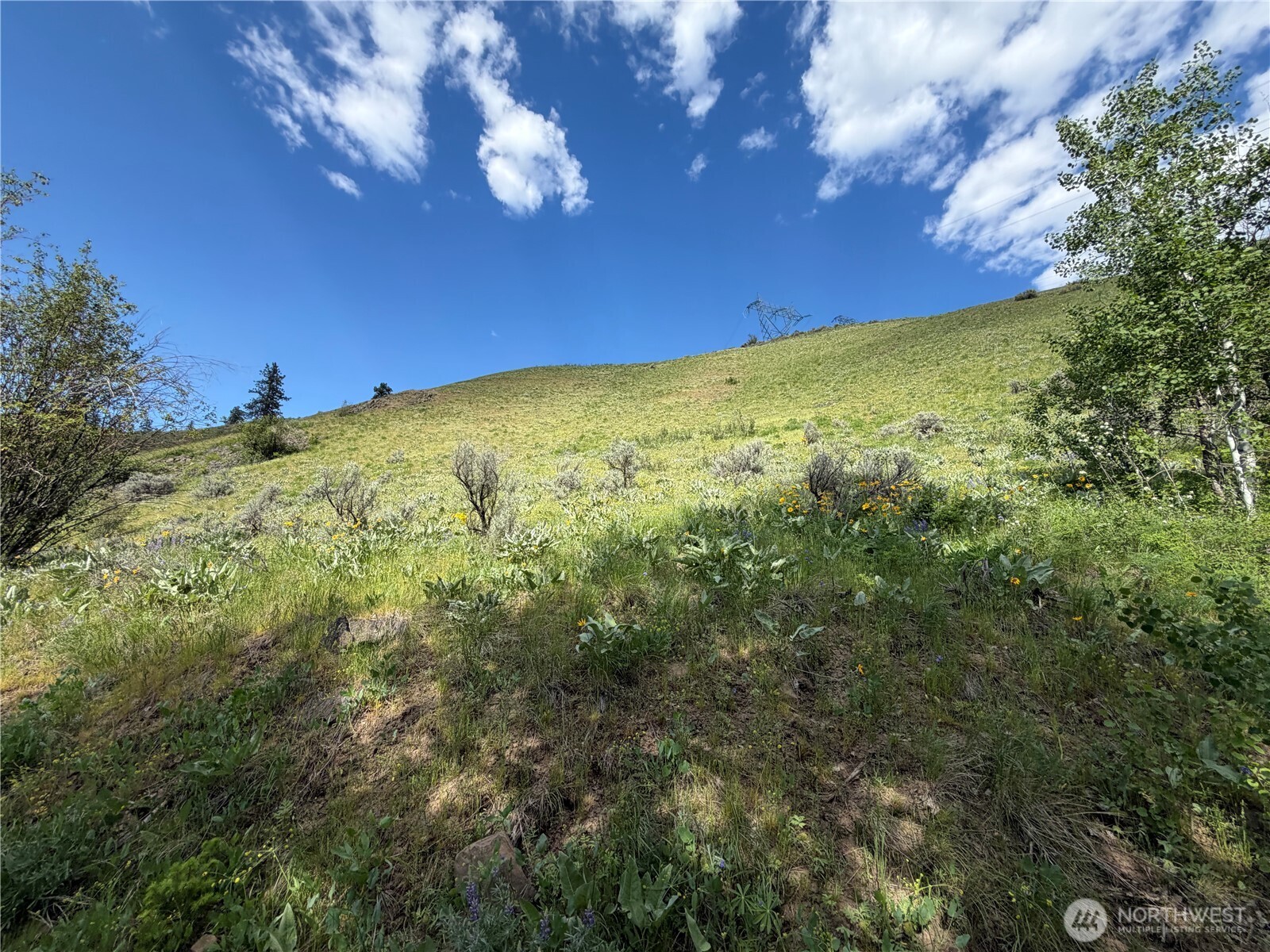 0 Tyee View Loop Property Photo 16