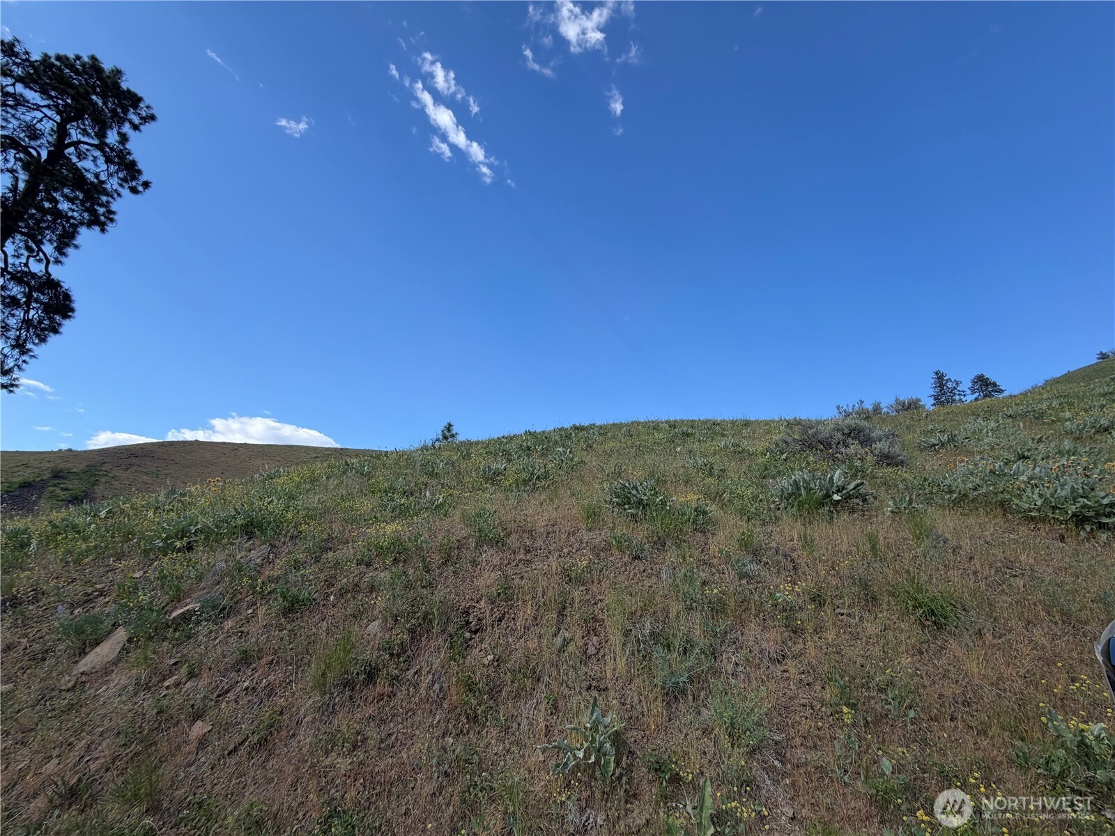 0 Tyee View Loop Property Photo 17