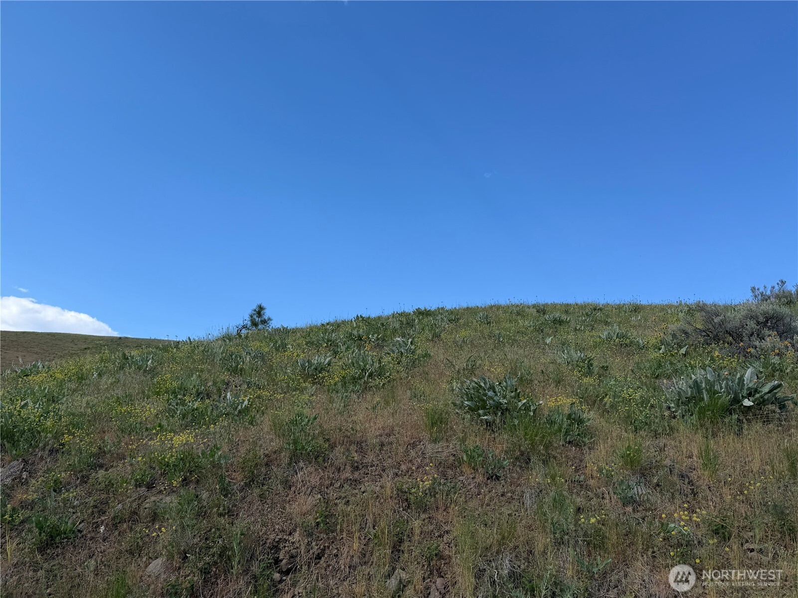 0 Tyee View Loop Property Photo 18