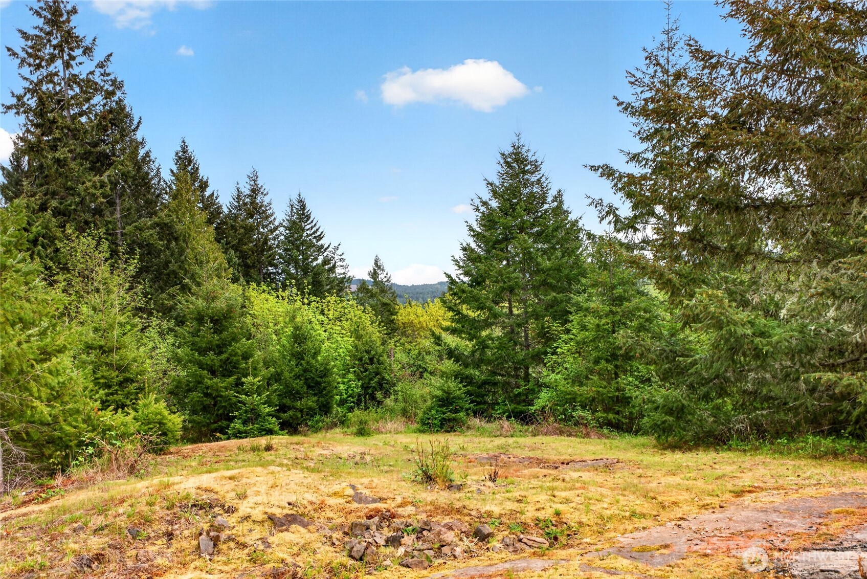 15521 Scott Turner Road Property Photo 15
