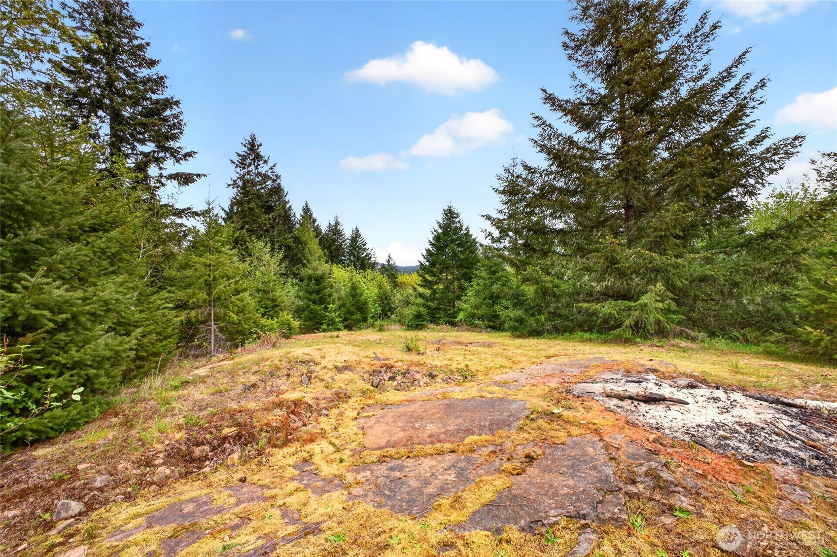 15521 Scott Turner Road Property Photo 17