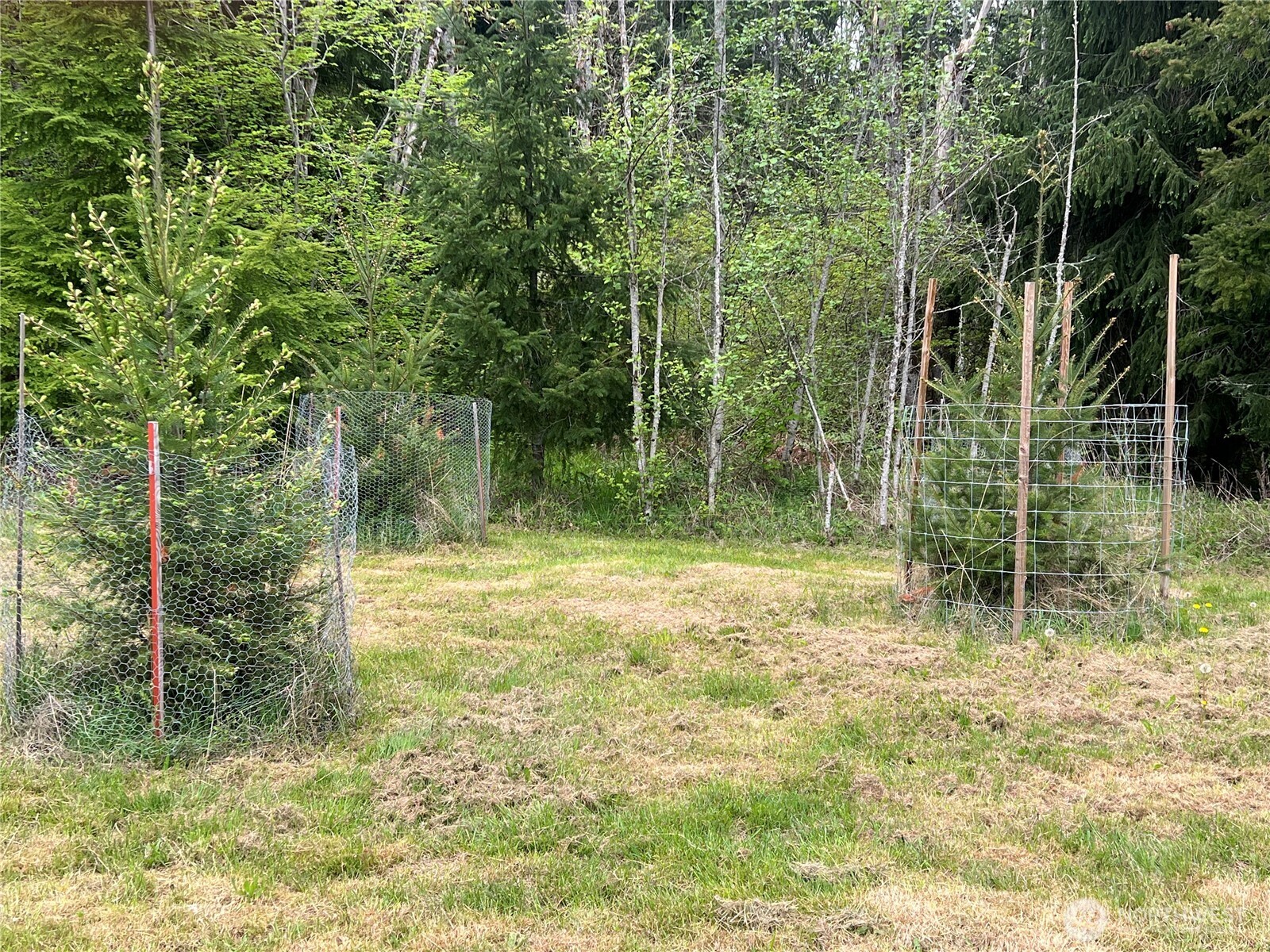 15521 Scott Turner Road Property Photo 22