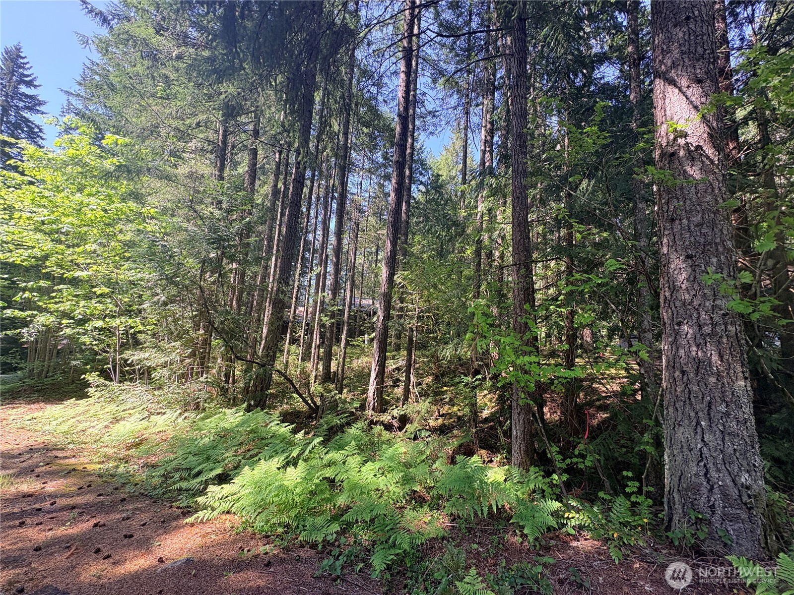 30 N Skokomish Drive Property Photo 4