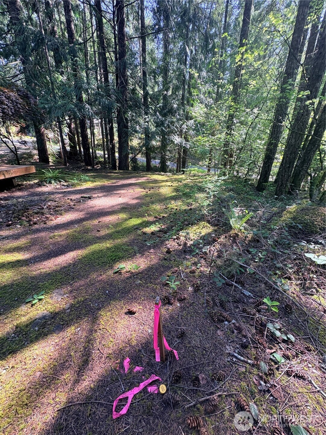30 N Skokomish Drive Property Photo 5